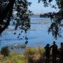 The shade provides not only relief, but a good hideout for birdwatching.